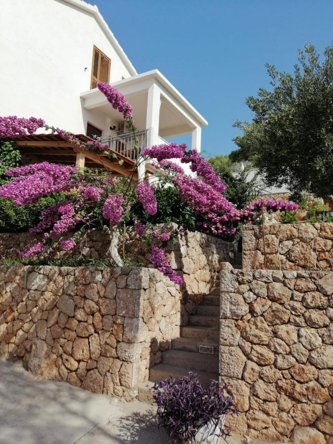 Apartmani Nila Sveta Nedelja  Exterior foto
